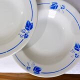 4 deep plates Roselys model Vigne 211248