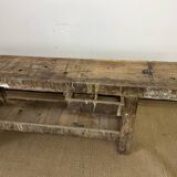 Established in old wood