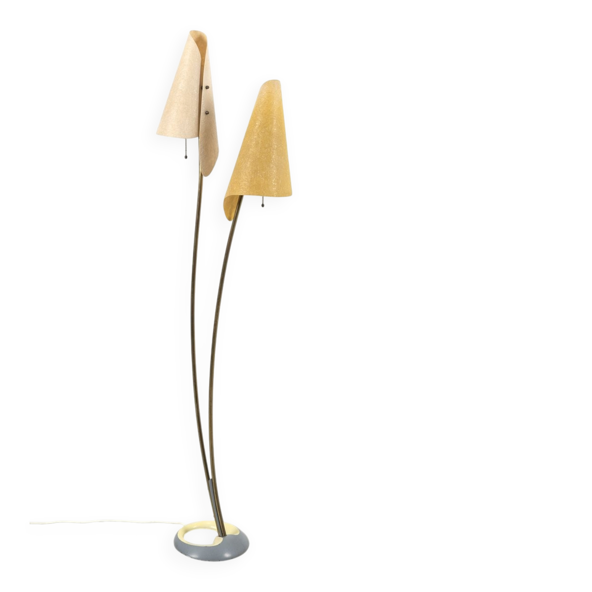 Organically Shaped Floor Lamp