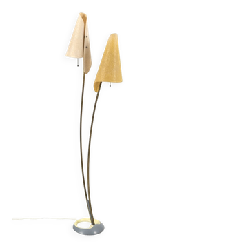 Organically Shaped Floor Lamp