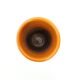Bitossi vase, design Aldo Londi, seville decoration, 1960s
