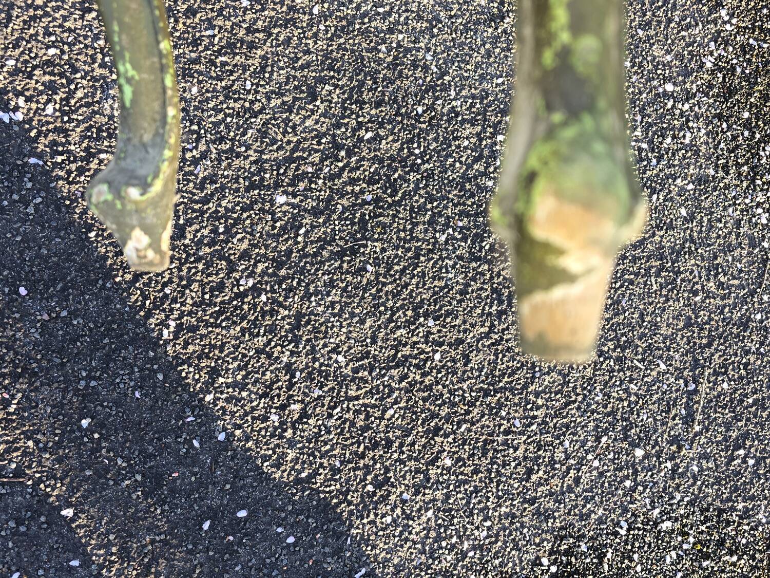 Antique vintage painted chest of drawers