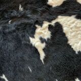 Cow skin
