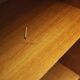 Ash bookcase, Danish design, 1970s, production: Hundevad