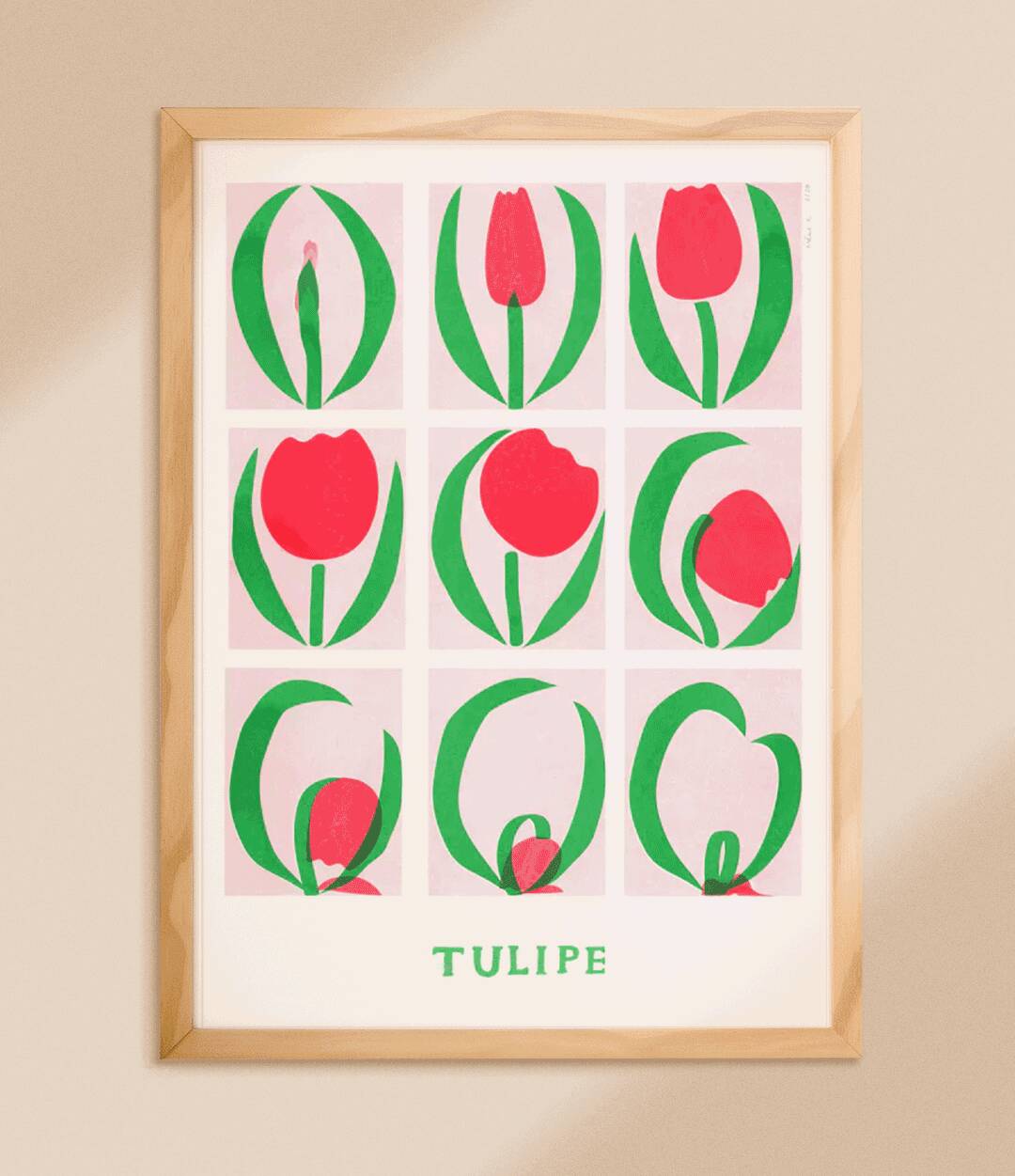 Poster, Tulip