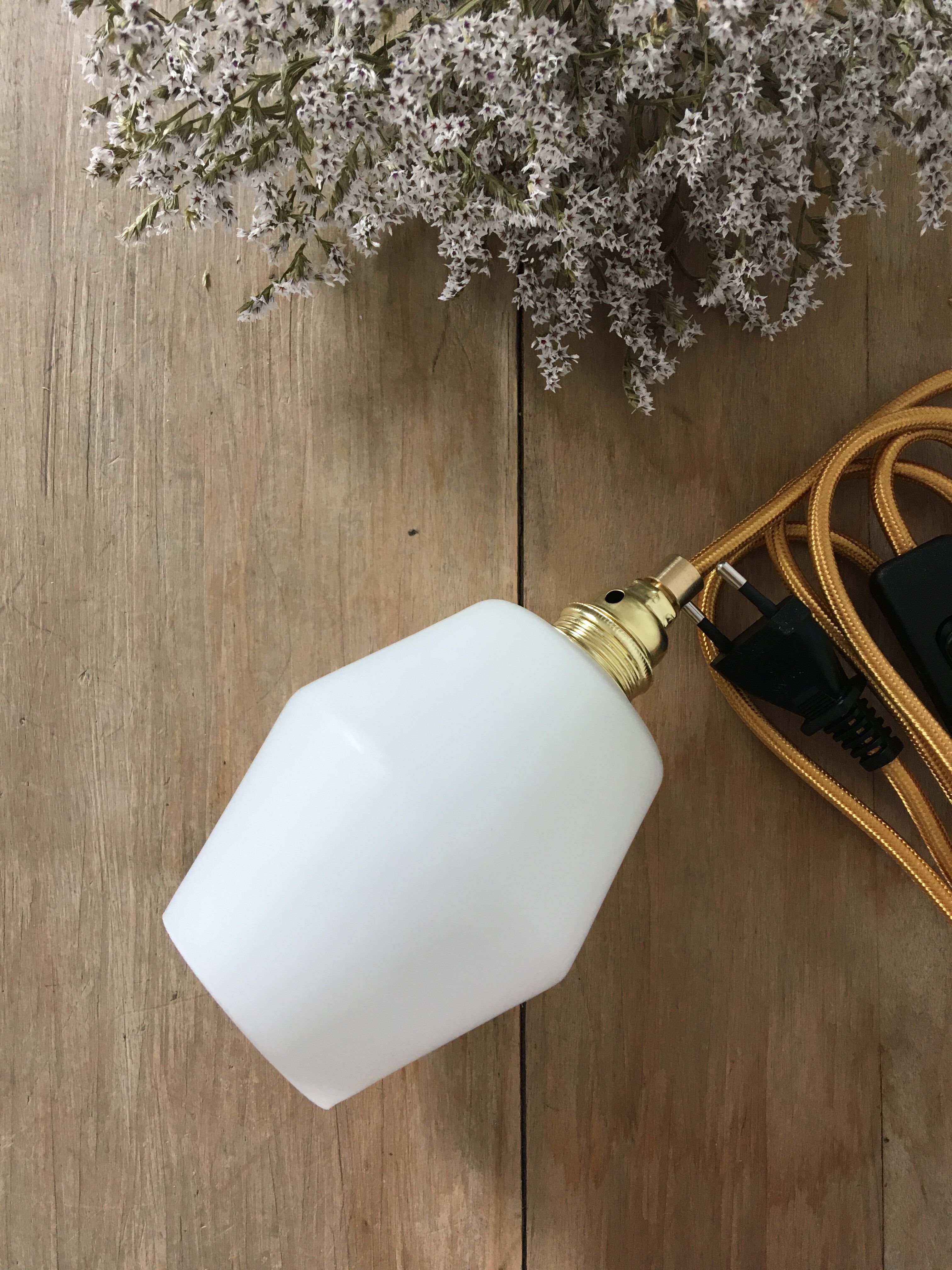 Paire de lampes baladeuses en verre dépoli