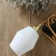 Paire de lampes baladeuses en verre dépoli