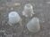 Lot de 3 suspensions globe en verre moulé vintage