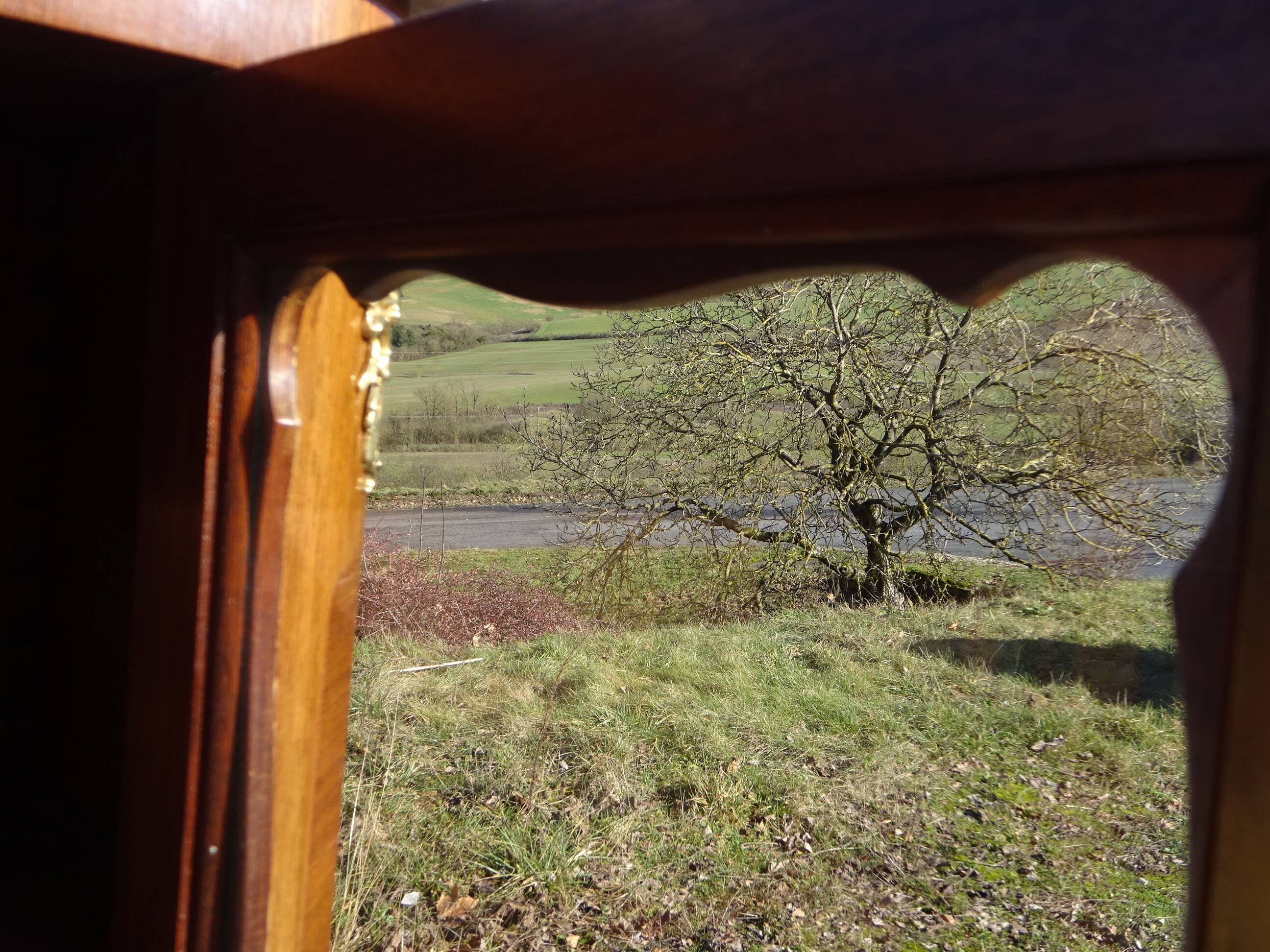 Glass library with rosewood marquetry in the Louis XV style.