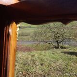Glass library with rosewood marquetry in the Louis XV style.