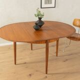 1960s Butterfly dining table, Lübke