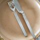 Fish cutlery
