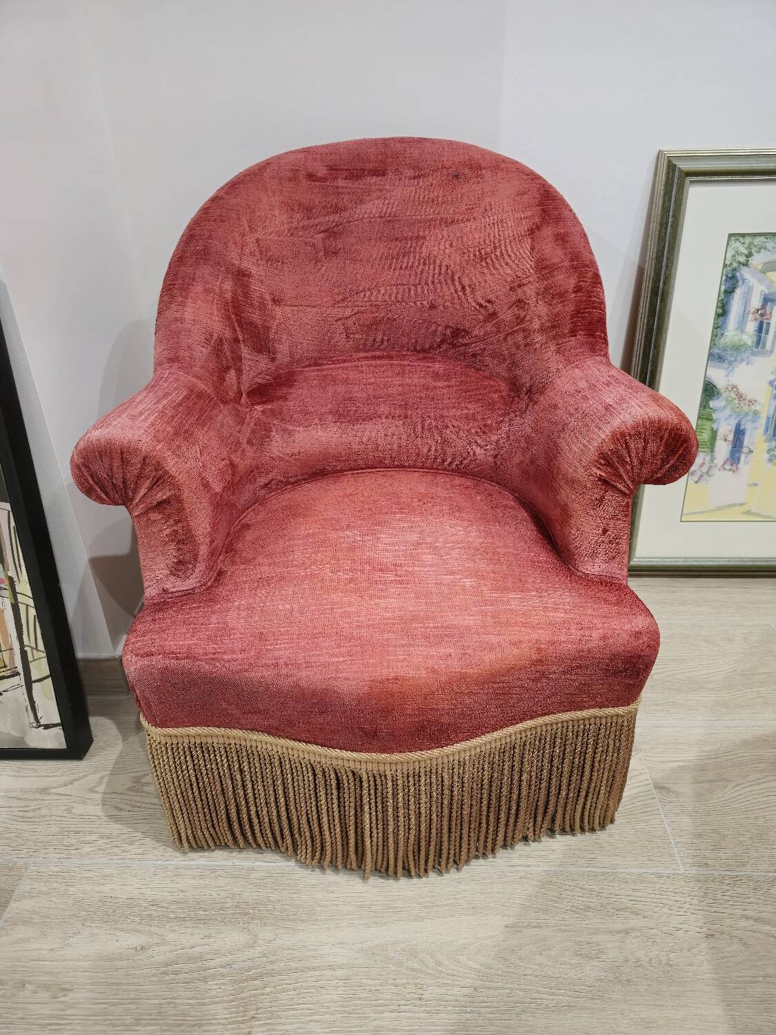 Burgundy velvet toad