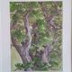Enhanced etching - Christine Delessert - Lyonnaise school