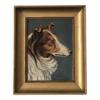 Original Vintage Dog Portrait Oil Painting, circa 1914