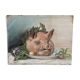 Pastel early XXth, pig's head