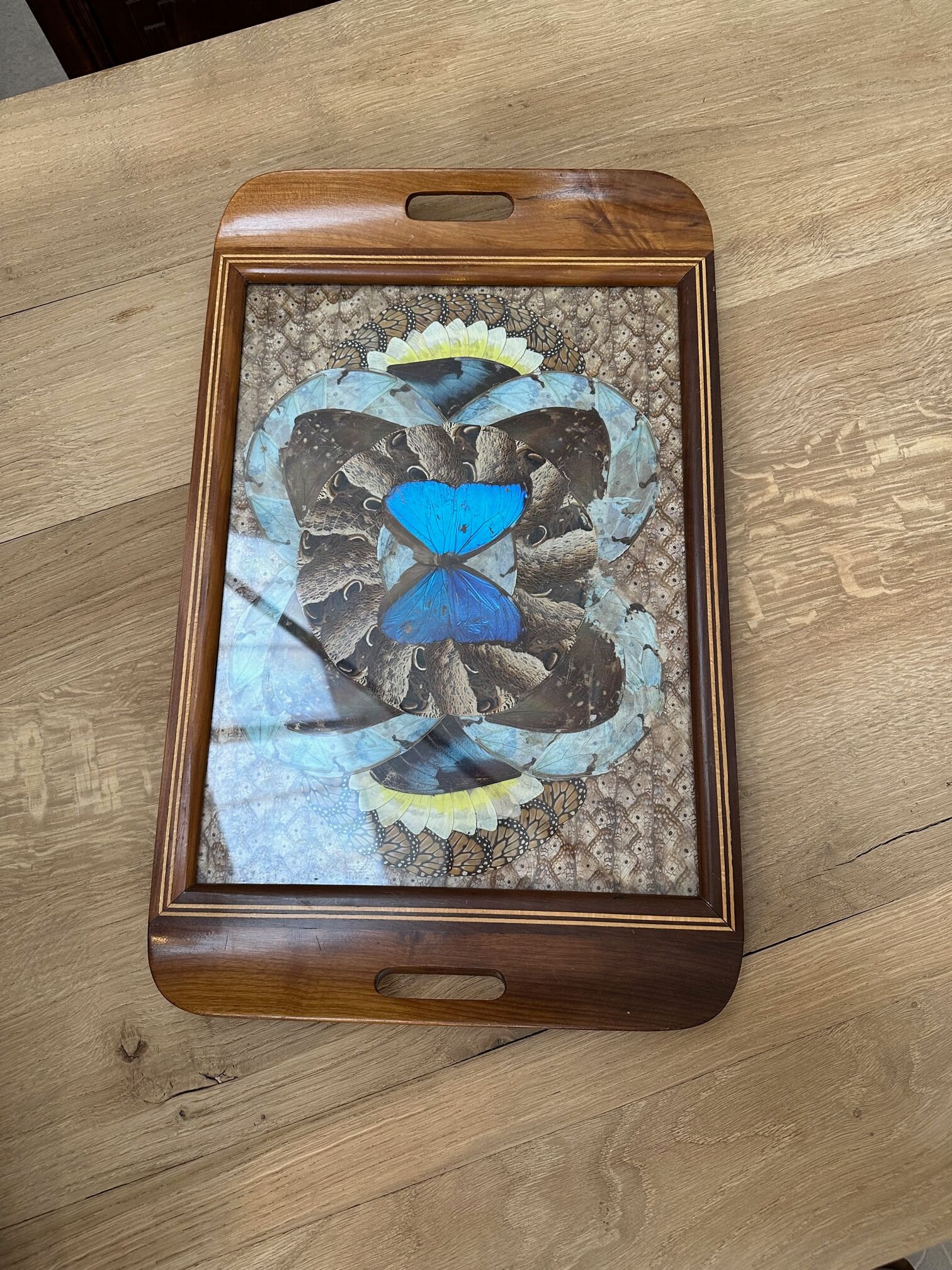 Inlaid top in exotic wood and butterfly wing decorations