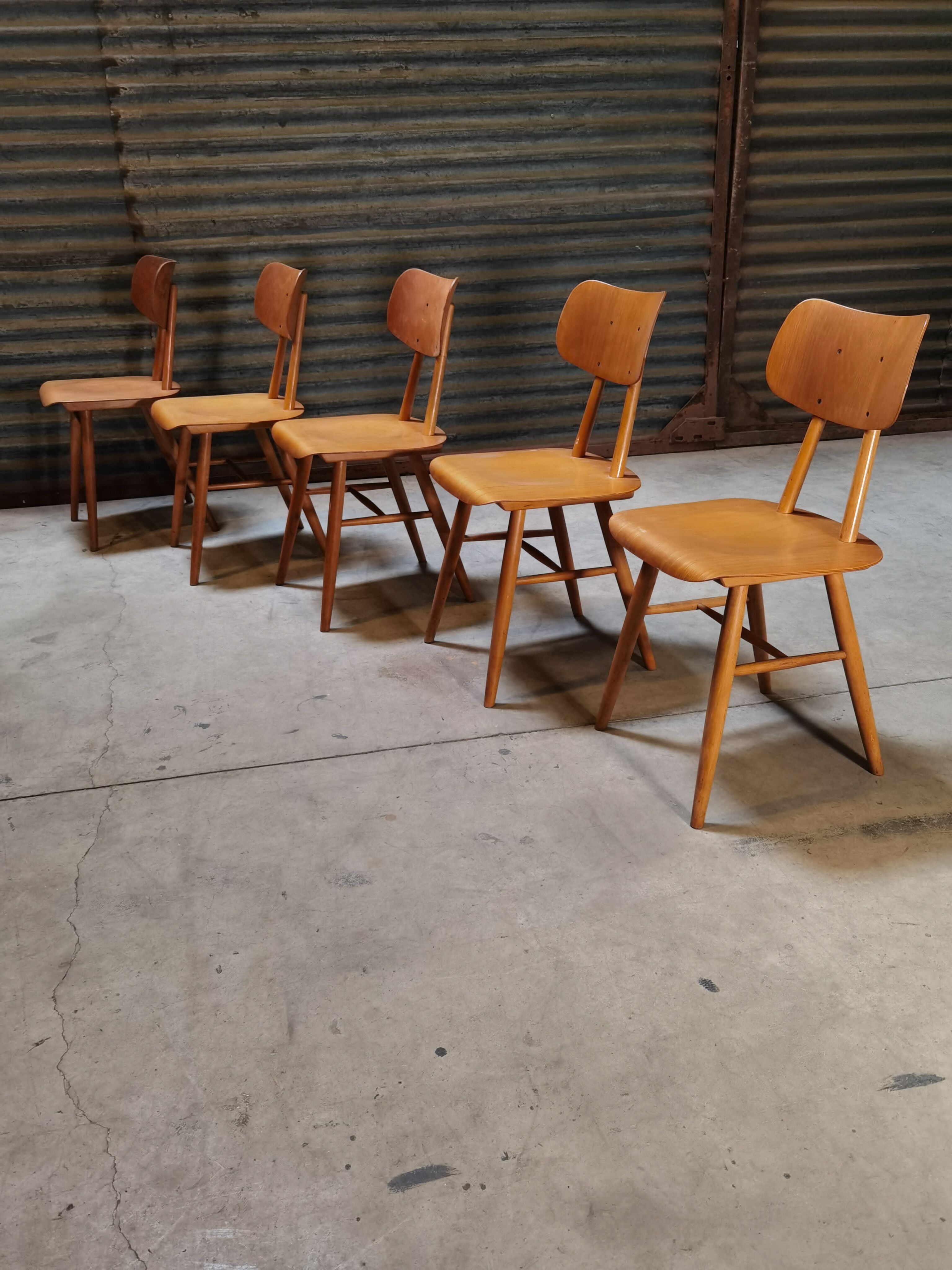 Set of 5 all-wood chairs published by Ton 1960
