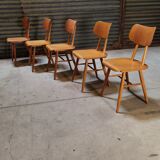 Set of 5 all-wood chairs published by Ton 1960