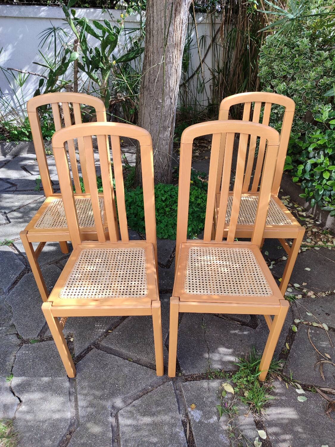Chaises en bois et cannage