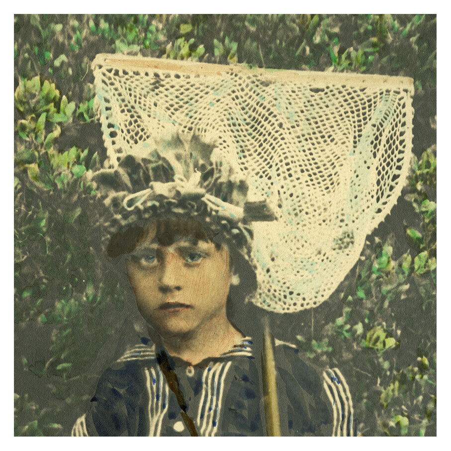 Shrimp fishing at Mount St Michel