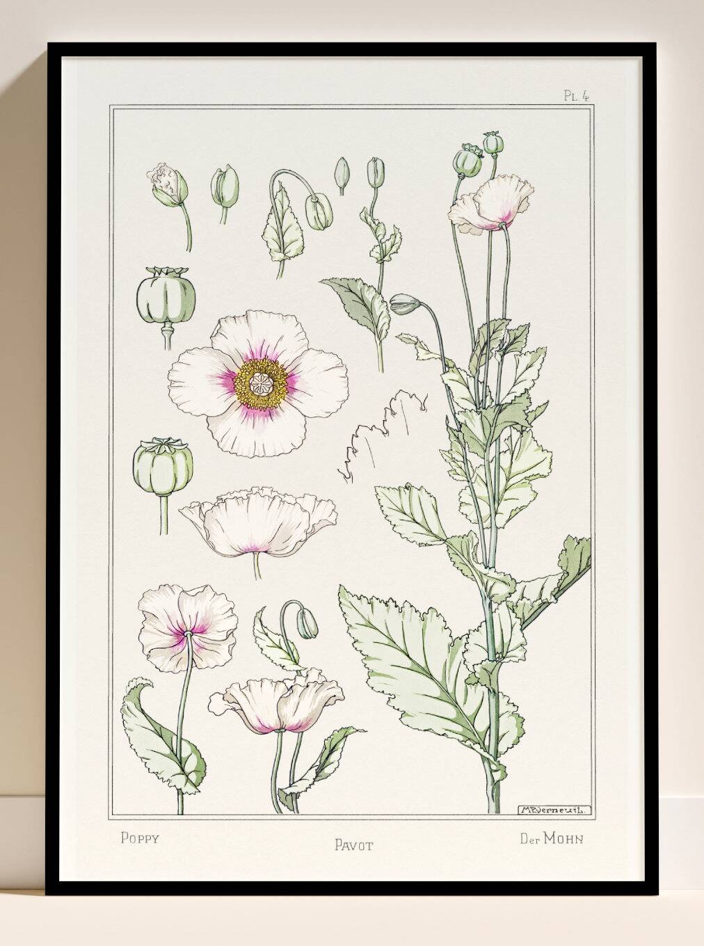 “Poppy” poster, after an Art Nouveau lithograph from 1897