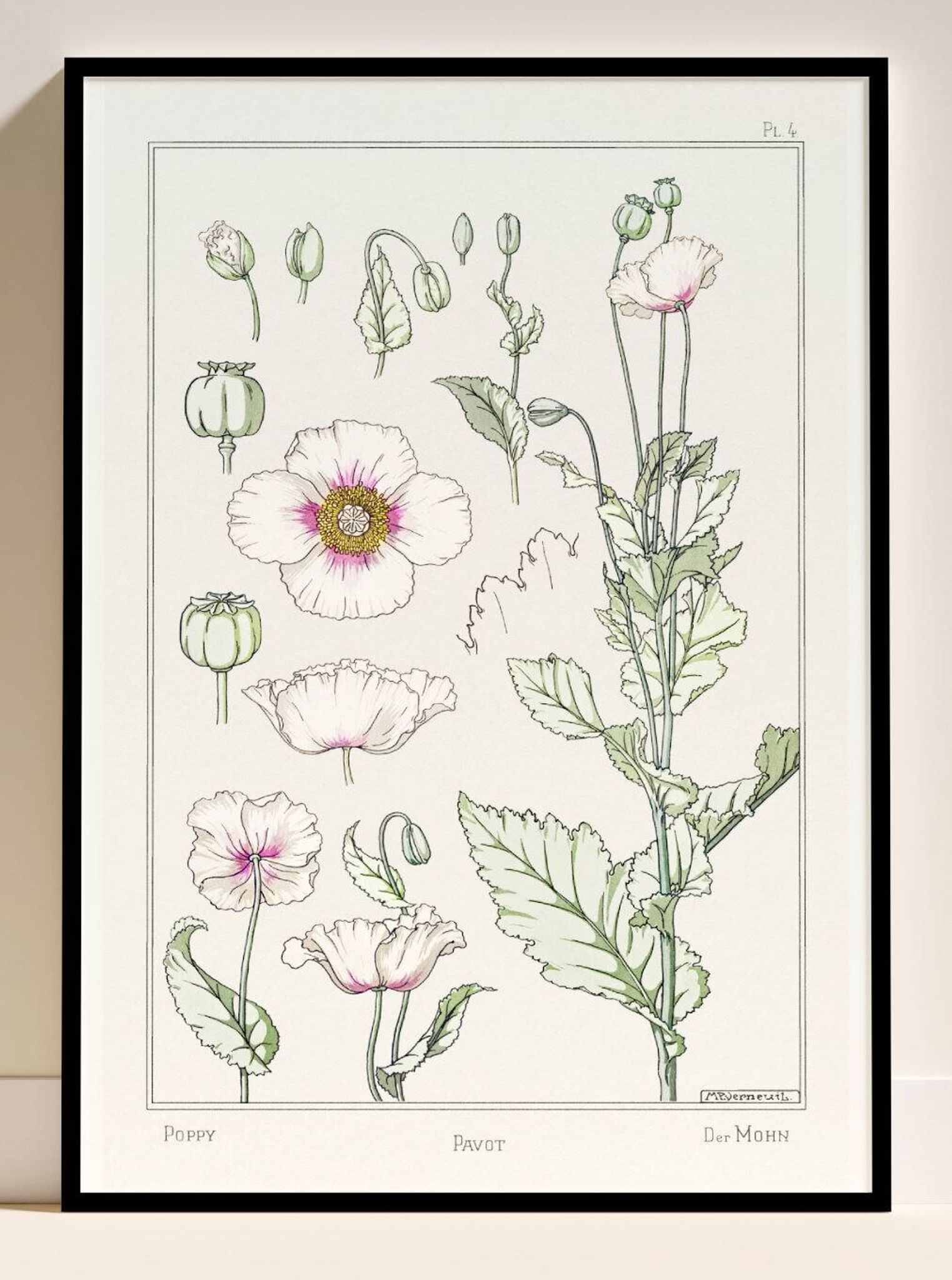 “Poppy” poster, after an Art Nouveau lithograph from 1897