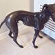 Monumental Bronze Statue of an Italian Greyhound / Whippet – Large Antique Sculpture Representing a Dog
