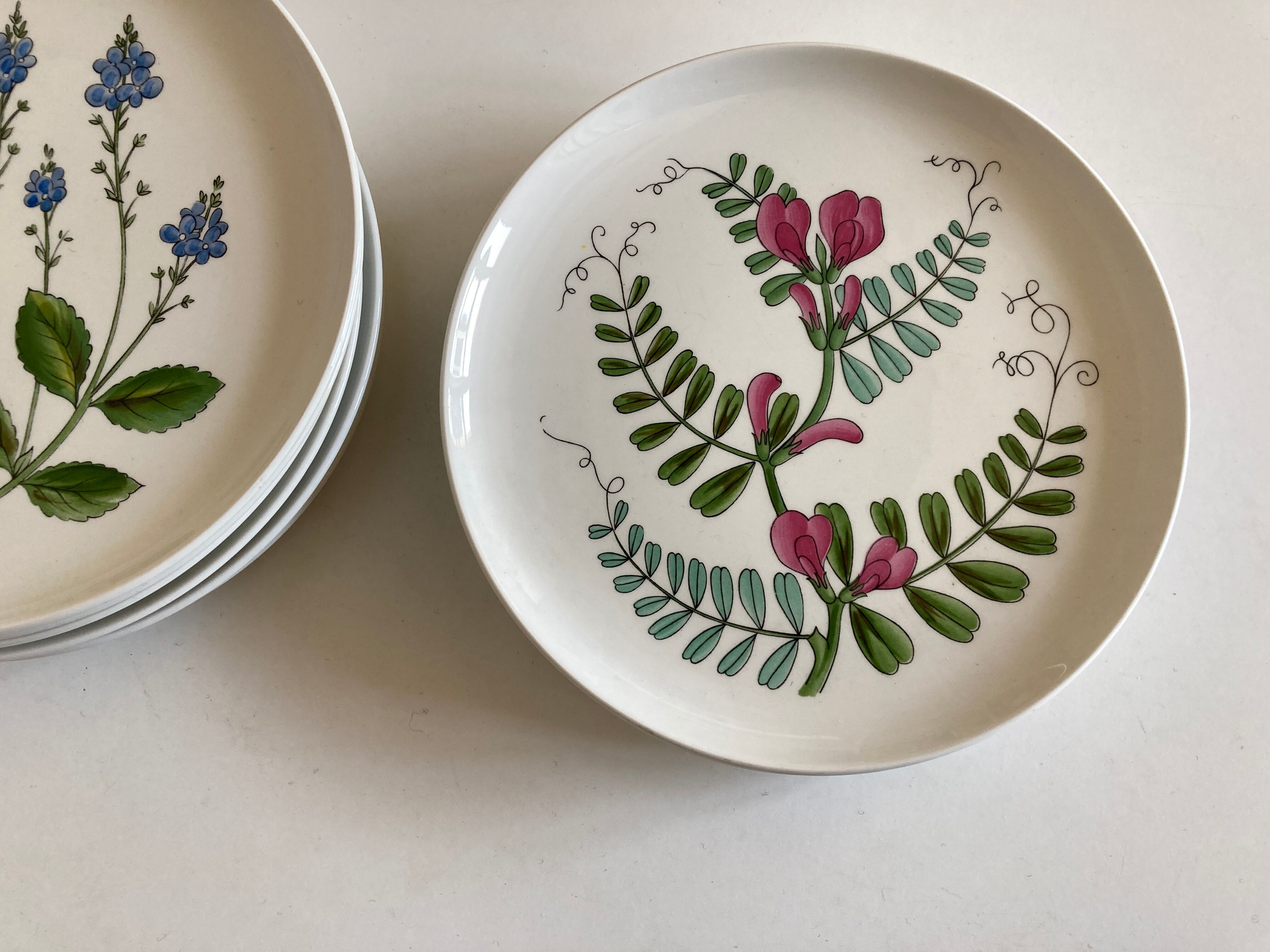 Set 11 assiettes fleurs Rorstrand Sweden Flora 1970