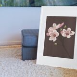 Illustration "Sakura" by Noums Atelier
