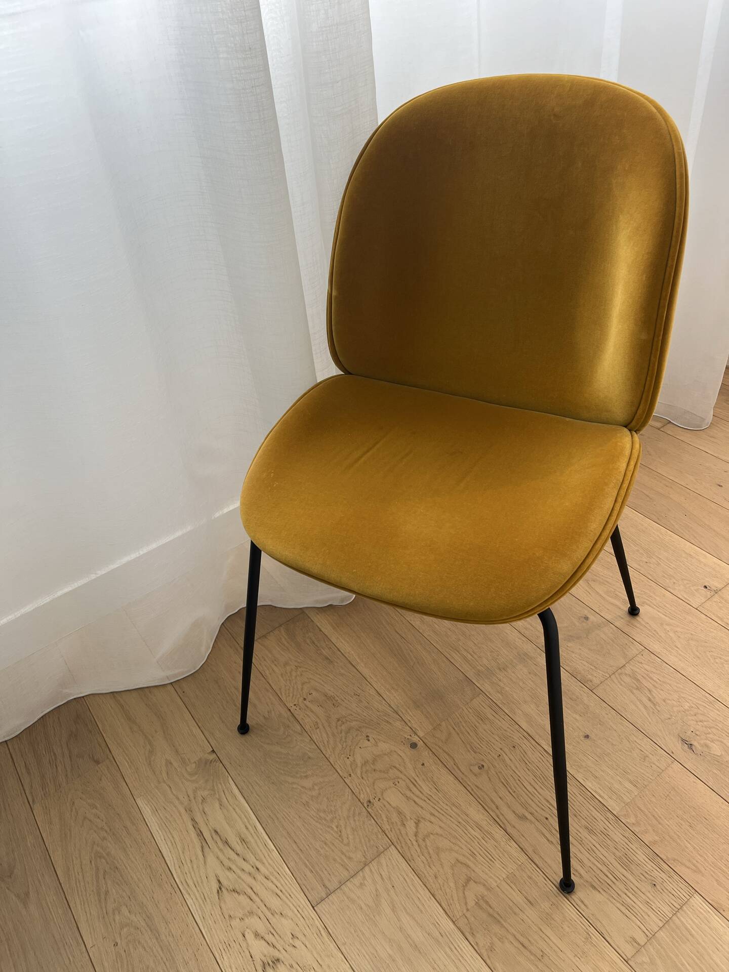 Chaise Gubi « Beetle »