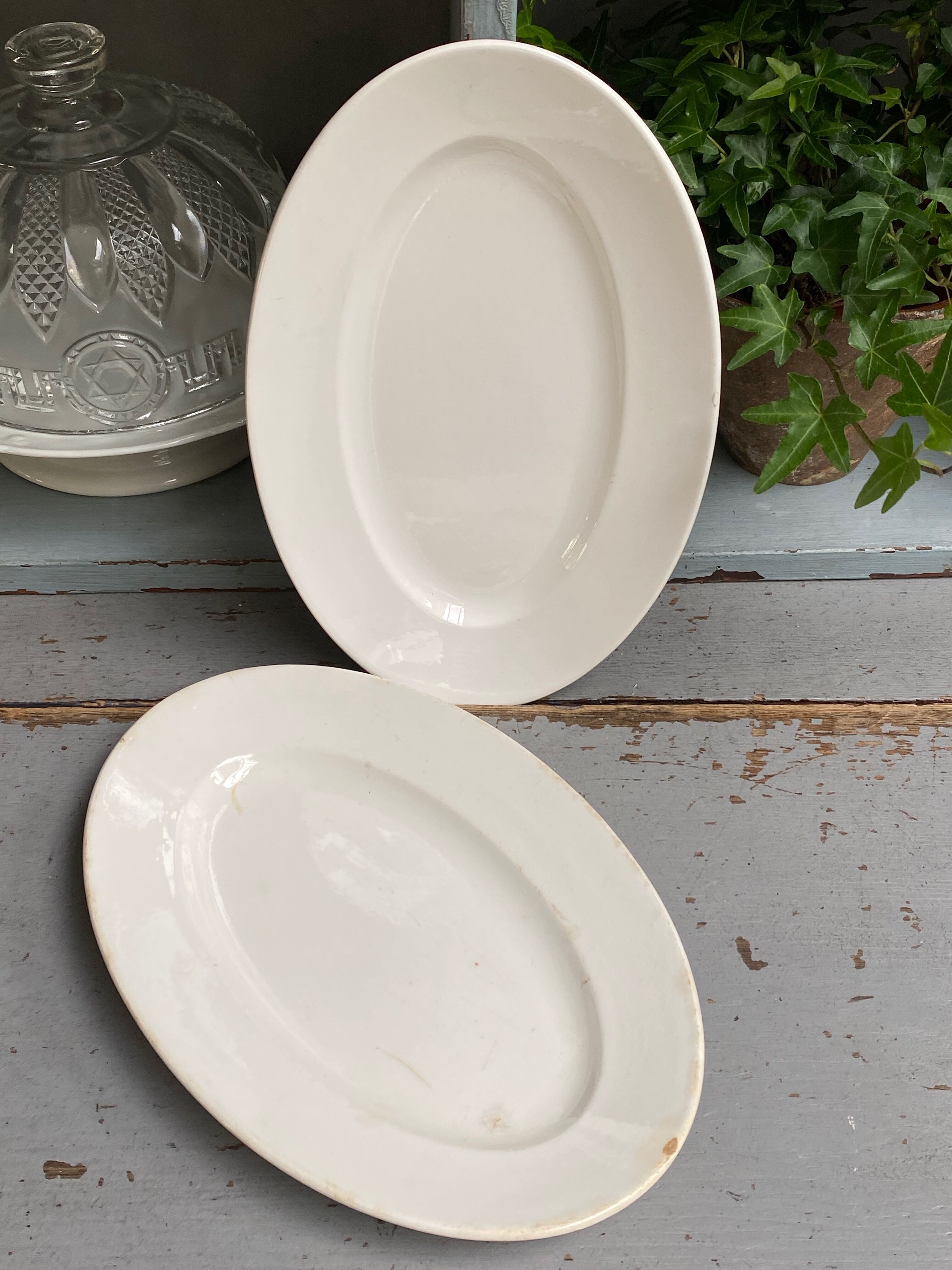 Pair of old dishes digoin