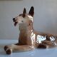 Wolf Dog German Shepherd Ceramic Saint Clément L 39 cm H 26 cm
