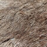 Reindeer skin rug