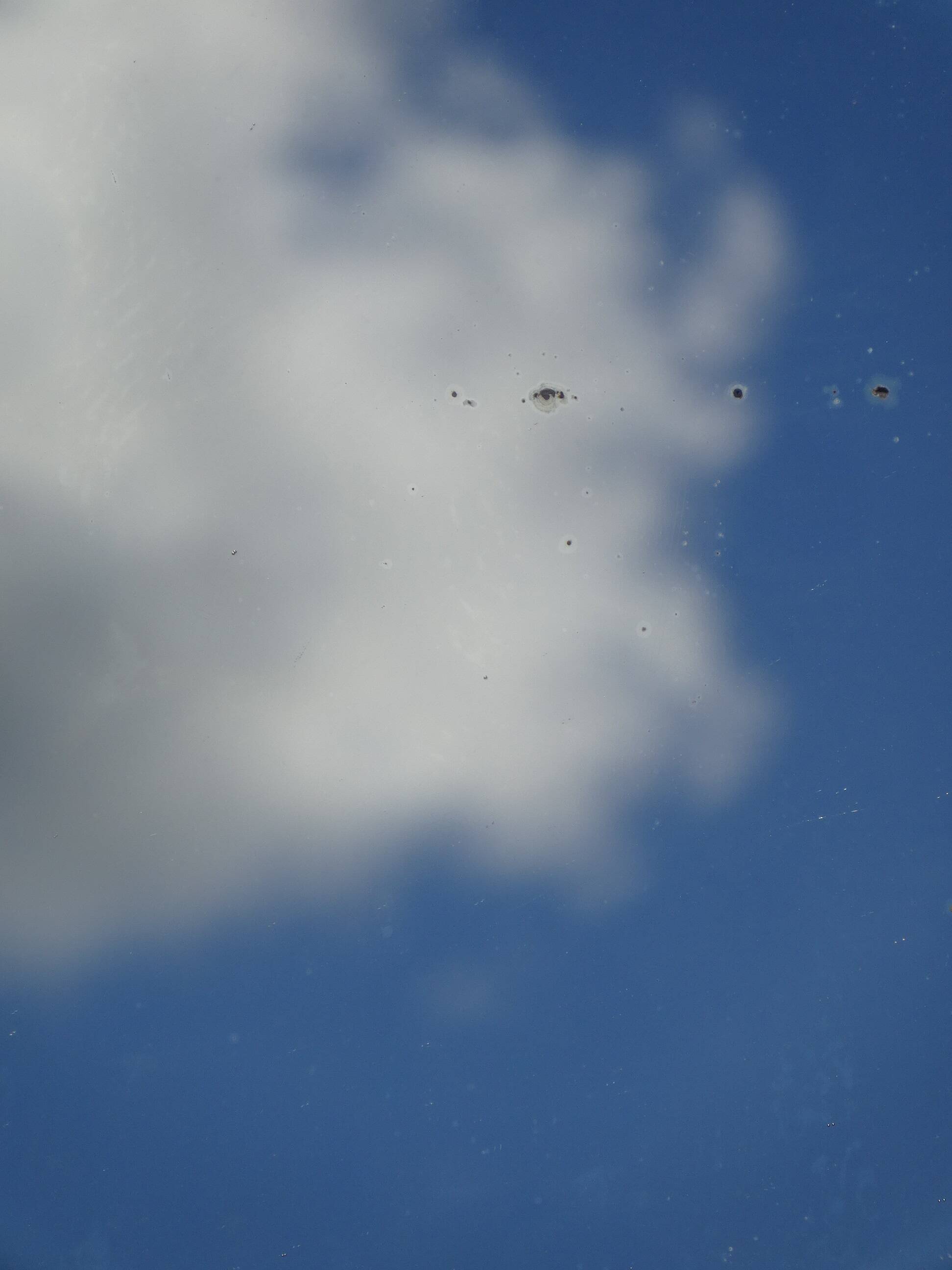 Louis Philippe style gilt mirror 54x45cm