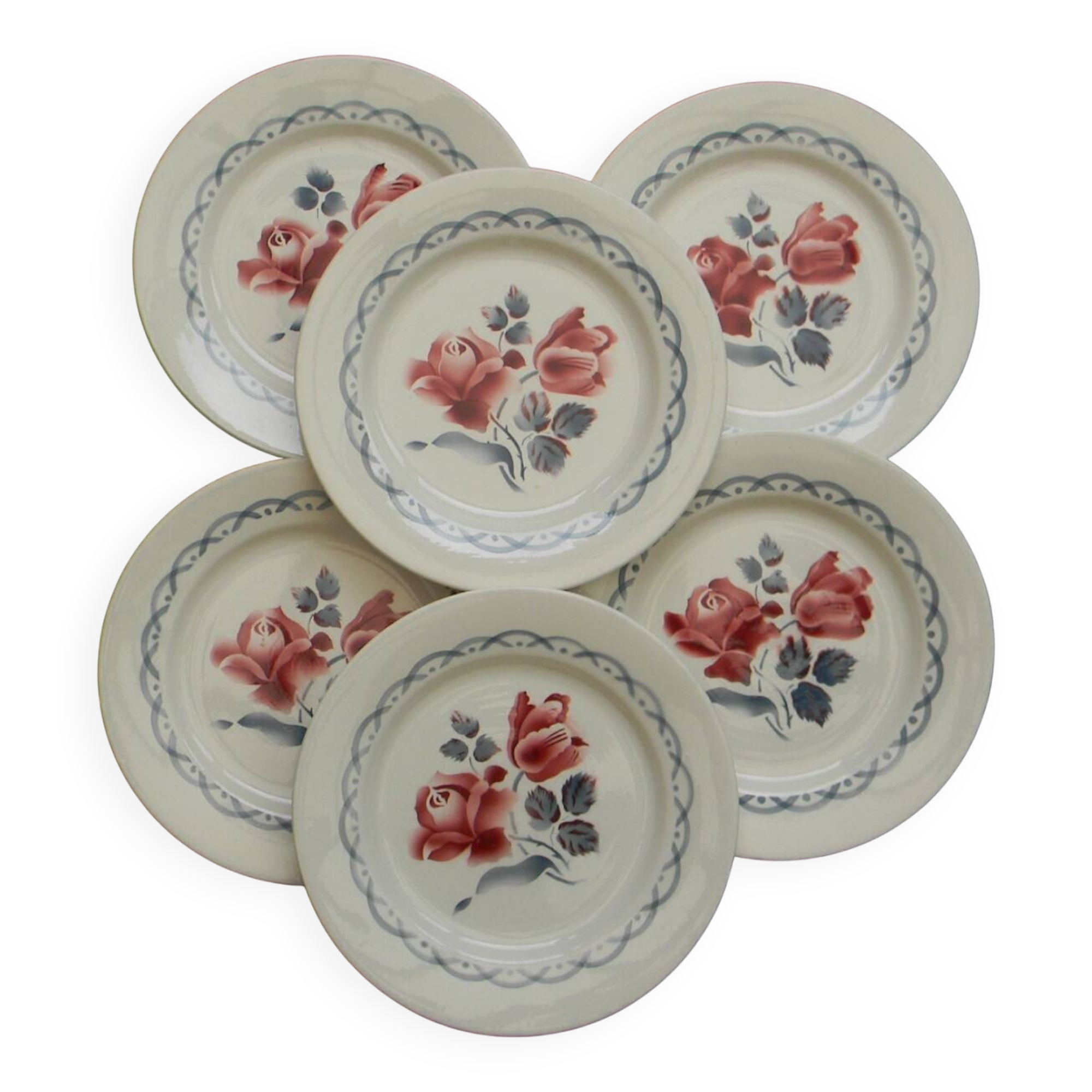 Set of 6 DIGOIN SARREGUEMINES earthenware dinner plates. CANNES model.