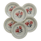 Set of 6 DIGOIN SARREGUEMINES earthenware dinner plates. CANNES model.