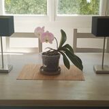2 touch lamps
