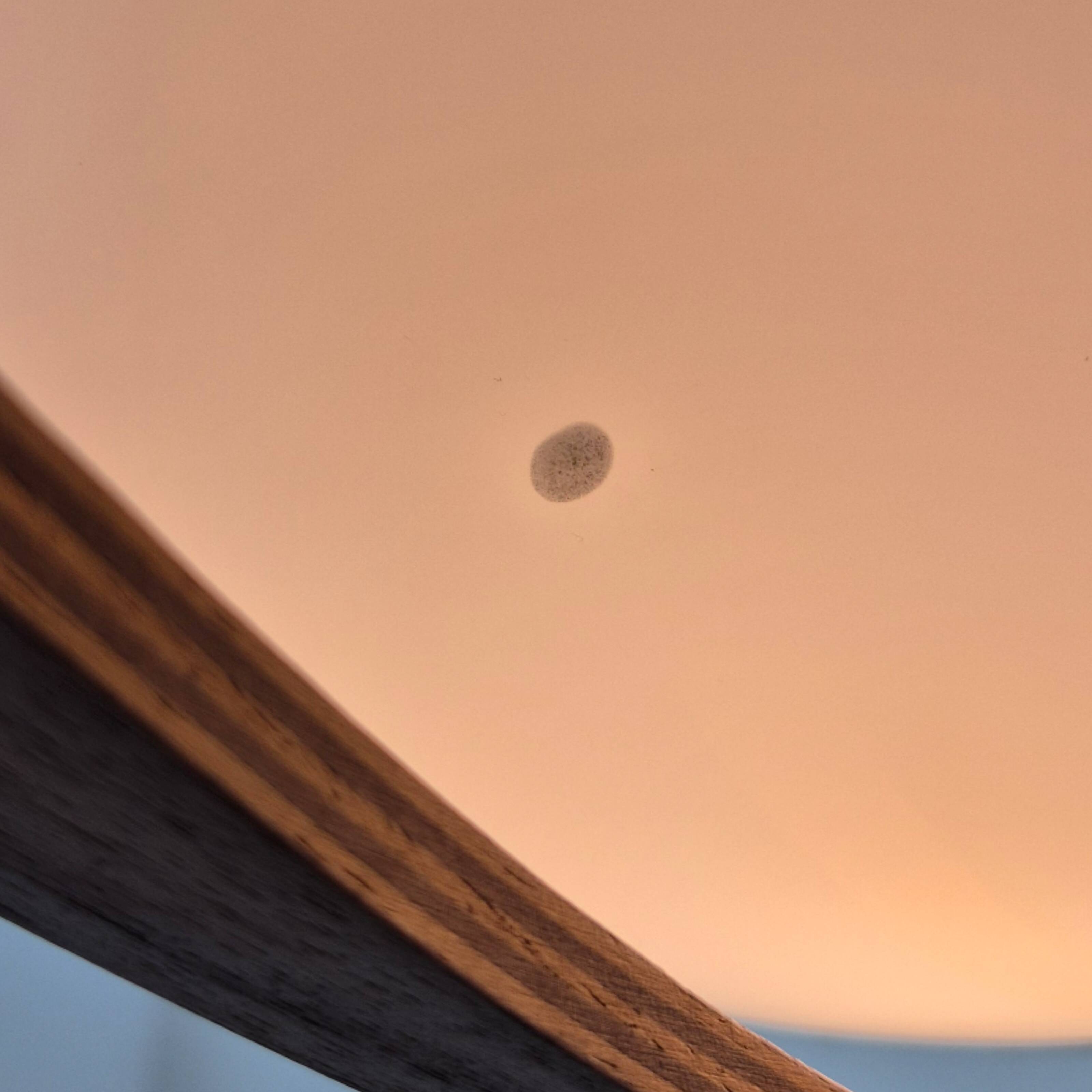 Wabi sabi sisal and plywood pendant lamp by Temde, Switzerland 1960s