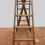Double library ladder in solid fir 19th century