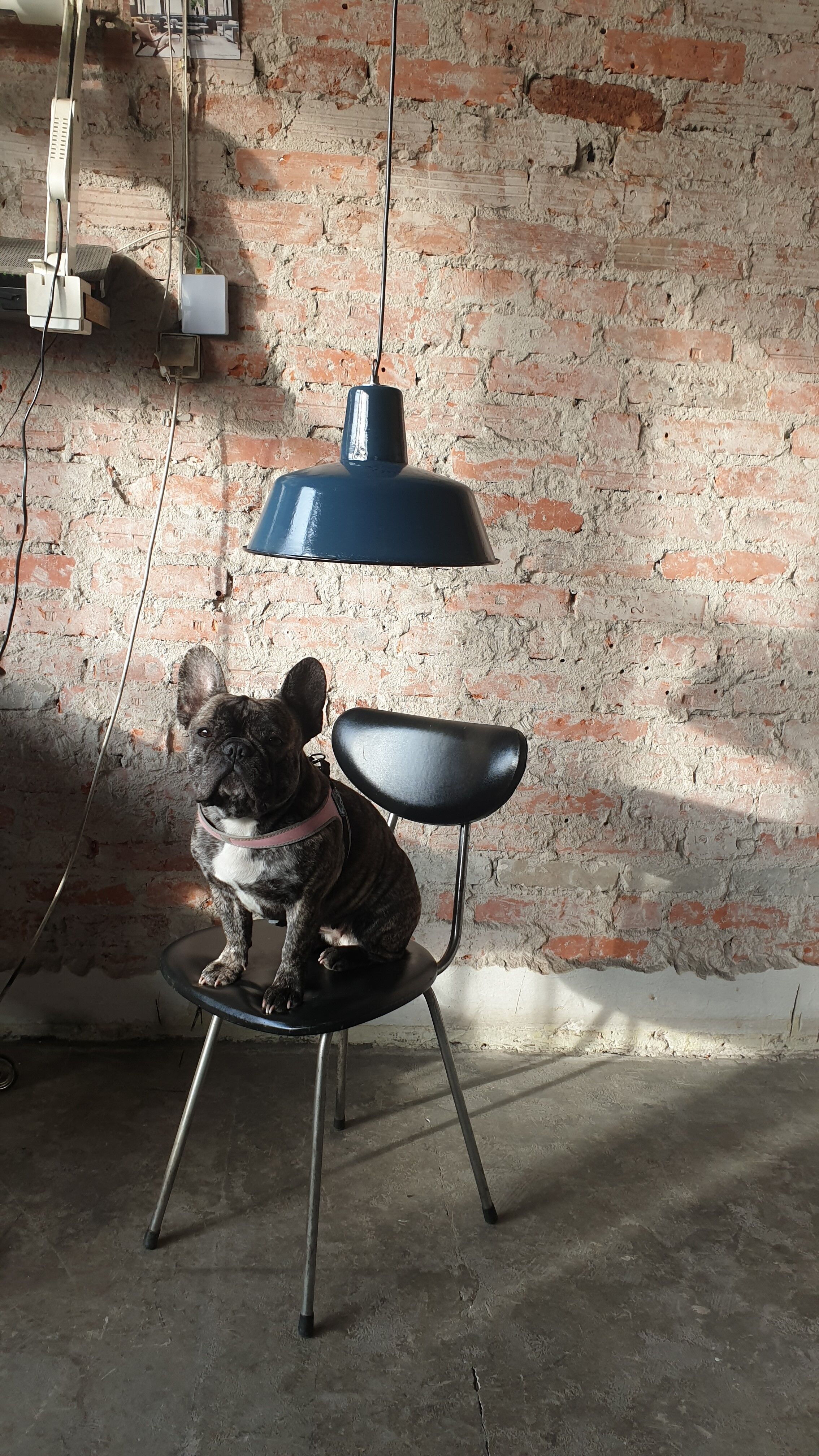 Industrial hanging lamp from Wikasy A23, 1960