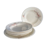 Set of 6 soup plates and 1 dish in polychrome ironstone Choisy-le-Roi