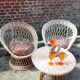 Living room 5 pieces vintage rattan