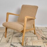 Fauteuil type 300-138 Bystrzyckie Fabryki Mebli 1960 Vintage