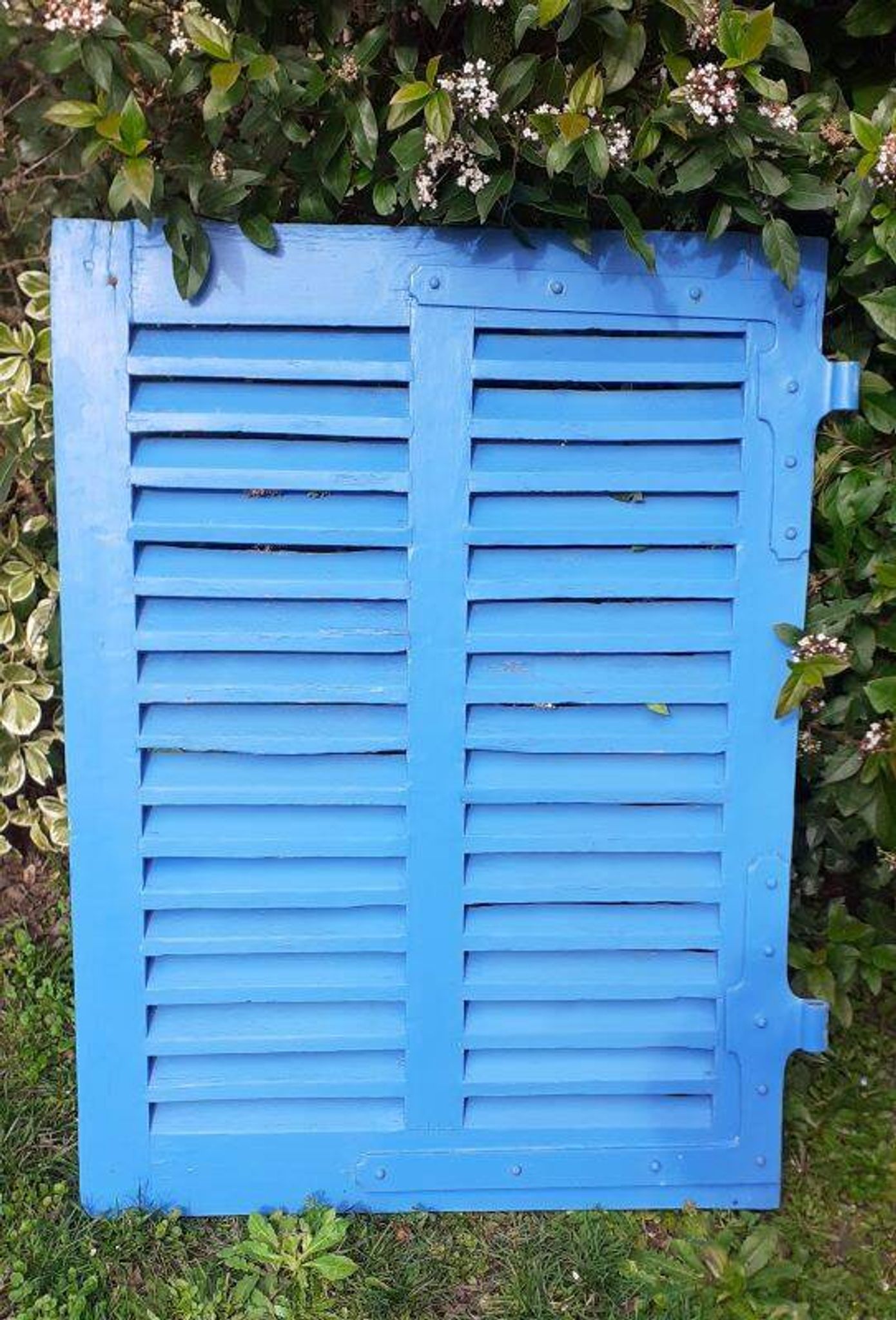 Petit volet  L75xH101cm bleu à persiennes