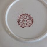 3 old Pexonne cups, Egyptian decor