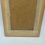 Old butterflies lithograph