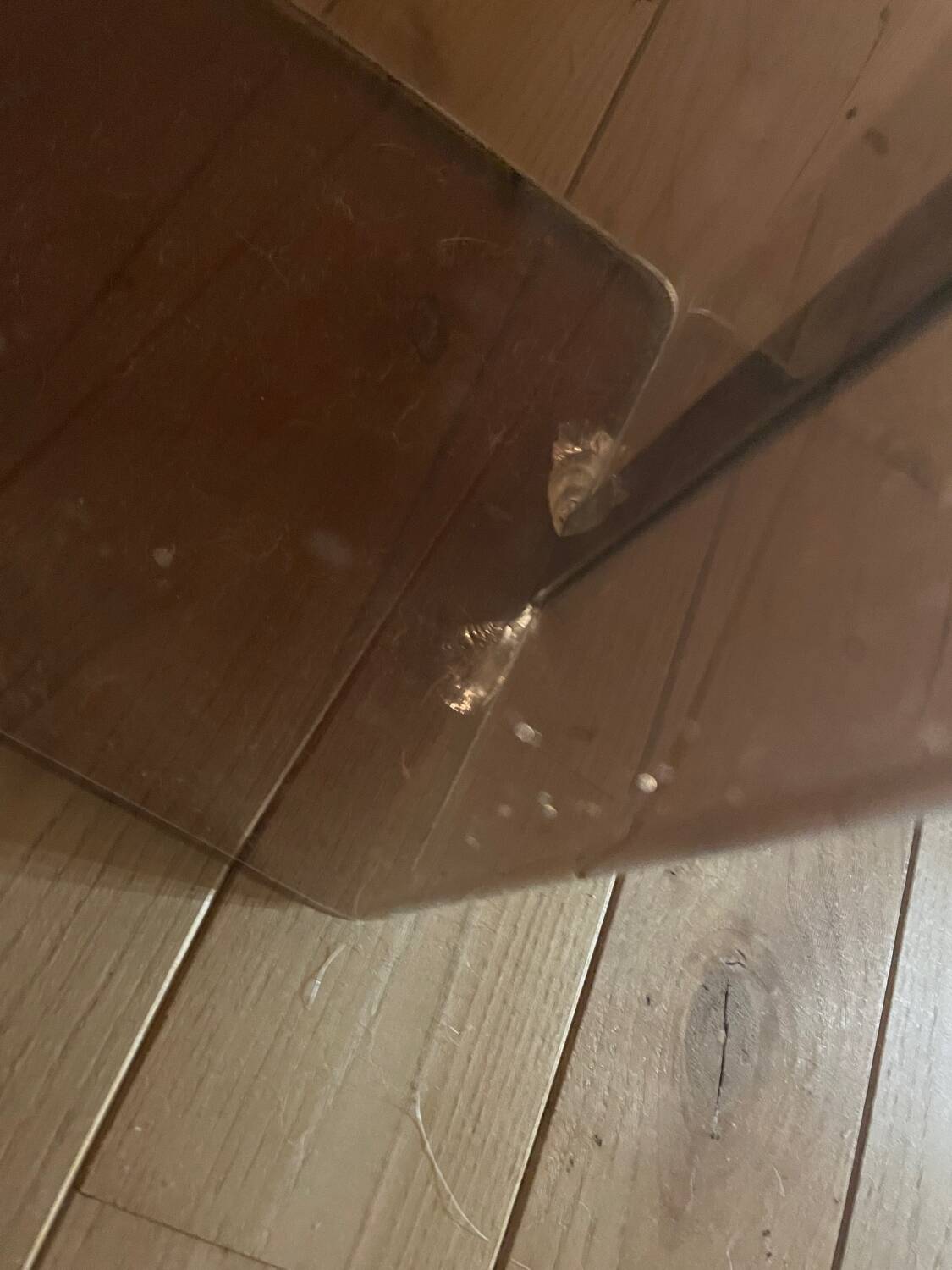 1970s wastepaper basket by Michel Ducaroy