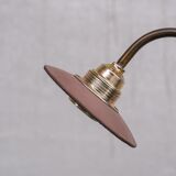 Antique english swan neck mercury glass pendant light/chandelier