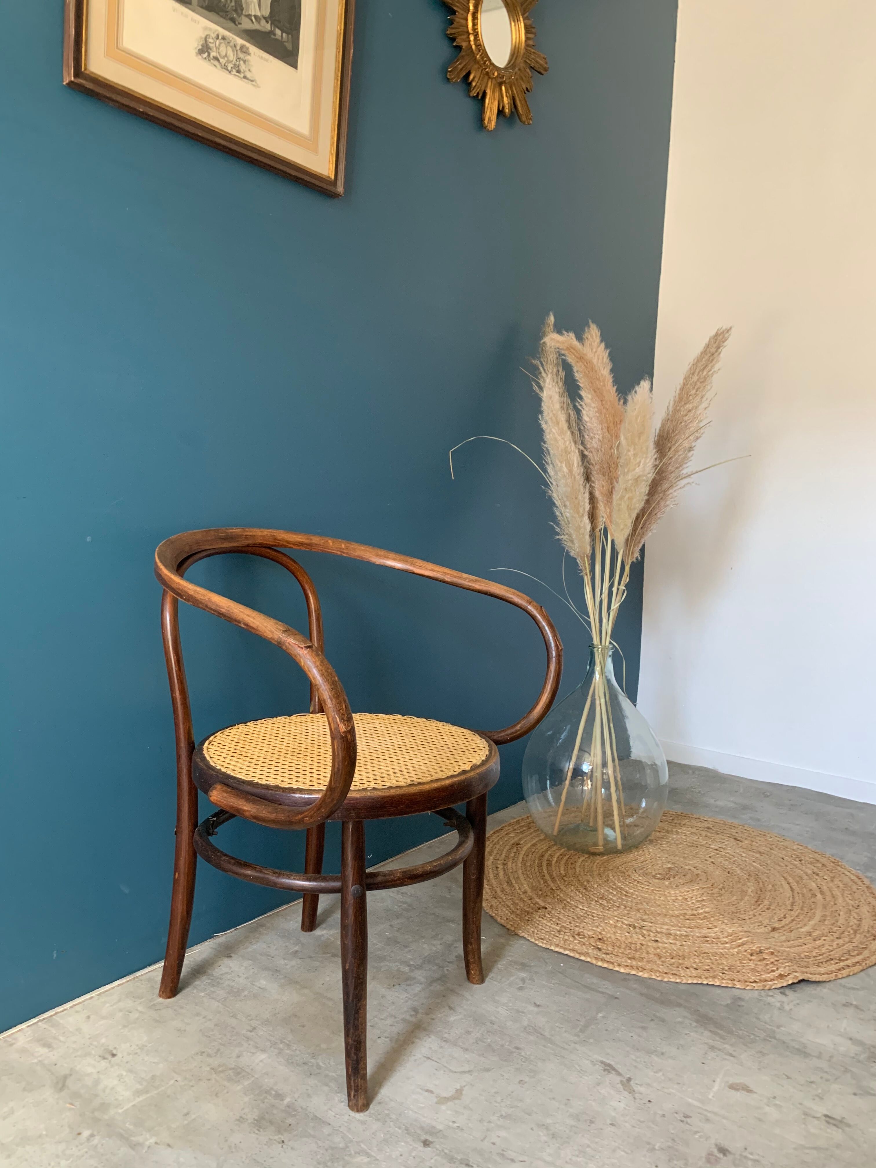 Mundus chair in curved wood